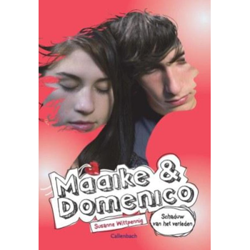 Schaduw van het verleden (Paperback) van Susanne Wittpennig