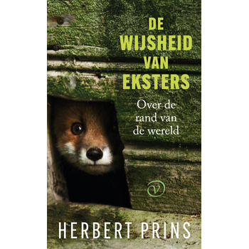 De wijsheid van eksters (Paperback) bij Singel 344