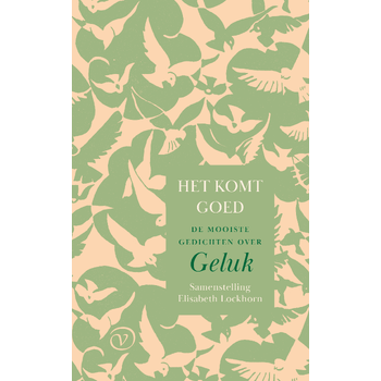 Het komt goed (Hardback) bij Singel 344