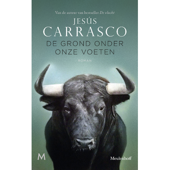 De grond onder onze voeten (Paperback) bij Singel 344