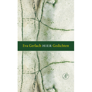 Hier (Paperback) bij Singel 344