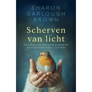 Scherven van licht (Paperback) bij Singel 344