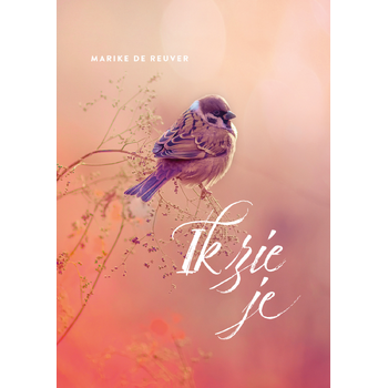 Ik zie je (Hardback) van Marike Reuver