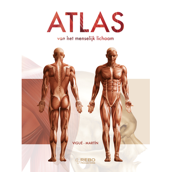 Atlas van het menselijk lichaam (Hardback) bij Singel 344