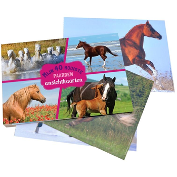 Mijn 40 mooiste paarden (Hardback) bij Singel 344