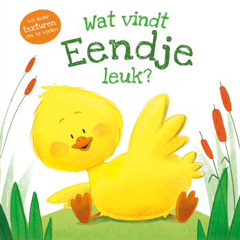 Wat vindt eendje leuk? (Hardback) bij Singel 344