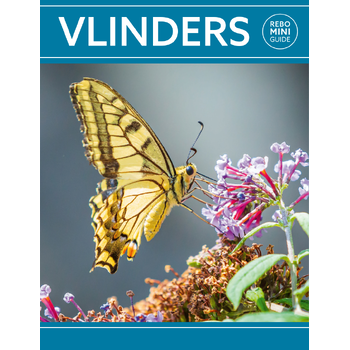 Rebo mini guide - Vlinders (Paperback) bij Singel 344