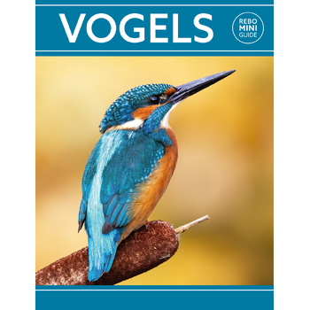 Rebo mini guide - Vogels (Paperback) bij Singel 344