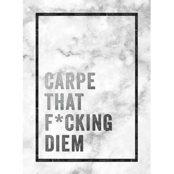Carpe that f*cking diem (Hardback) bij Singel 344