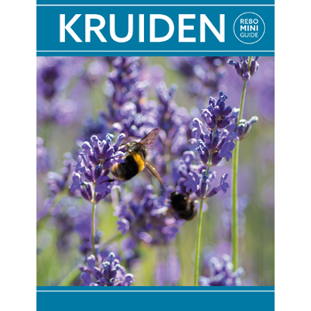 Kruiden - Rebo mini guide (Paperback) bij Singel 344