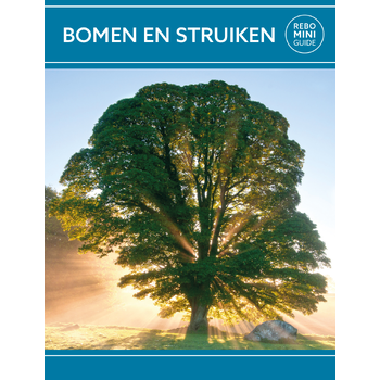 Bomen en struiken - Rebo mini guide (Paperback) bij Singel 344