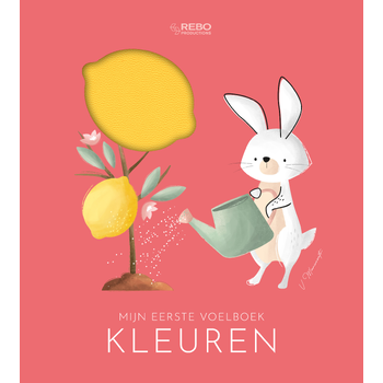 Kleuren - Mijn eerste voelboek (Board book) bij Singel 344