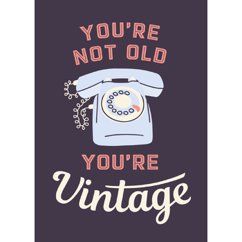 You're not old, you're vintage (Hardback) bij Singel 344