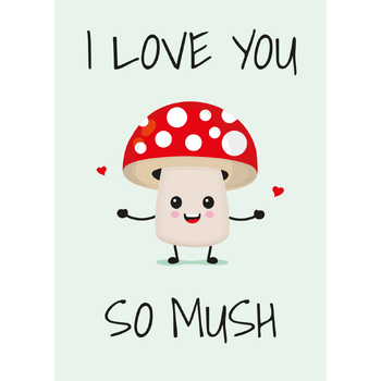 I love you so mush (Hardback) bij Singel 344