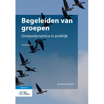 Begeleiden van groepen (Paperback) bij Singel 344