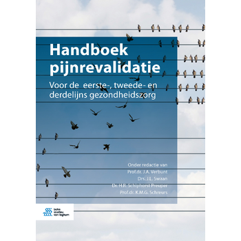 Handboek pijnrevalidatie (Paperback) bij Singel 344