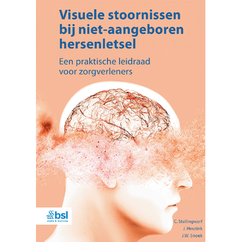 Visuele stoornissen bij niet-aangeboren hersenletsel (Paperback) bij Singel 344