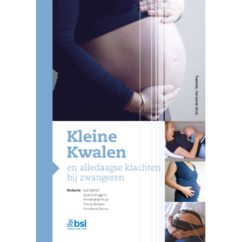 Kleine Kwalen en alledaagse klachten bij zwangeren (Hardback) bij Singel 344