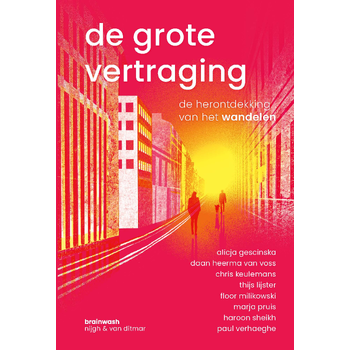 De grote vertraging (Paperback) bij Singel 344