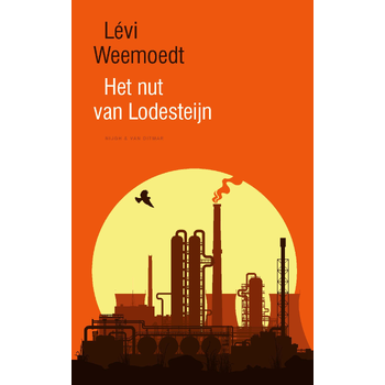 Het nut van Lodesteijn (Hardback) bij Singel 344