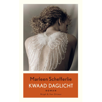 Kwaad daglicht (Paperback) bij Singel 344