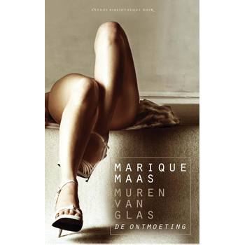 De ontmoeting (Paperback) bij Singel 344