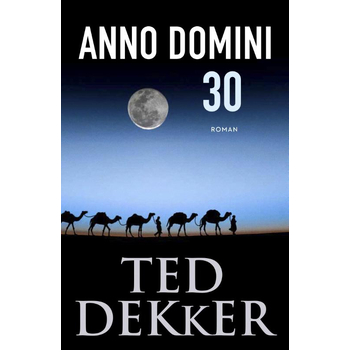 Anno Domini 30 (Paperback) bij Singel 344