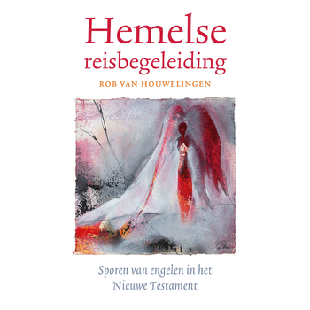 Hemelse reisbegeleiding (Paperback) bij Singel 344