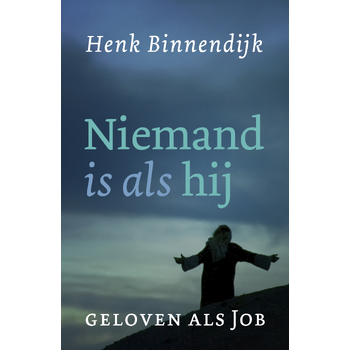 Niemand is als hij (Paperback) bij Singel 344