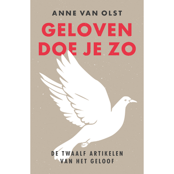 Geloven doe je zo (Paperback) bij Singel 344