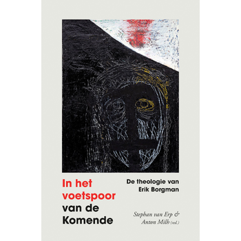 In het voetspoor van de komende (Paperback) van Stephan Erp, Anton Milh