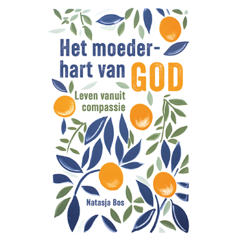 Het moederhart van God (Paperback) van Natasja Bos