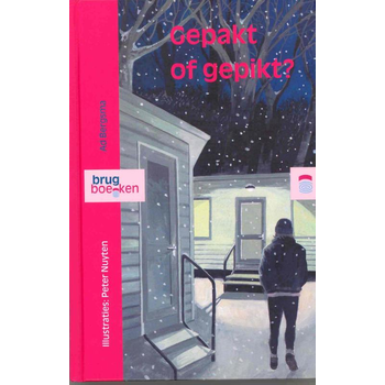 Gepakt of gepikt? (Hardback) bij Singel 344