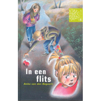 In een flits (Hardback) bij Singel 344