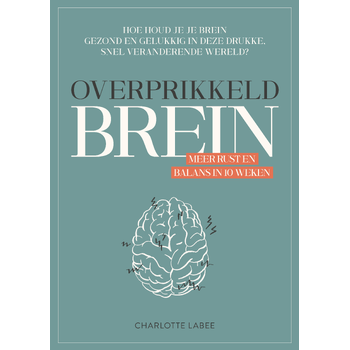 Overprikkeld brein (Paperback) bij Singel 344