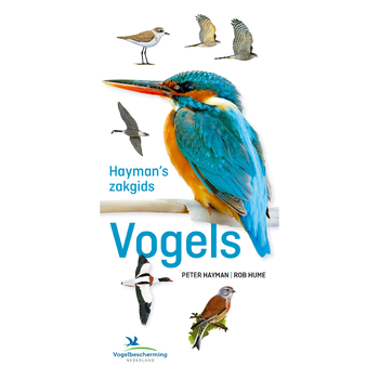Hayman's Zakgids Vogels (Paperback) bij Singel 344
