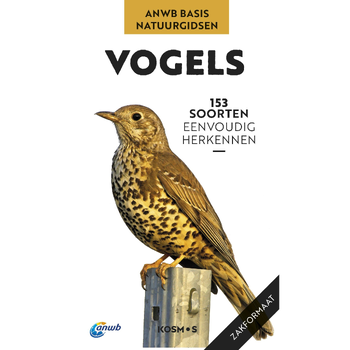 Vogels (Paperback) bij Singel 344