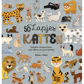 50 lapjeskatten (Paperback) bij Singel 344