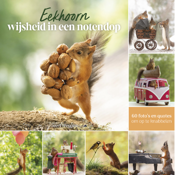 Eekhoorn wijsheid in een notendop (Hardback) bij Singel 344