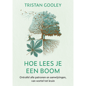Hoe lees je een boom (Paperback) bij Singel 344