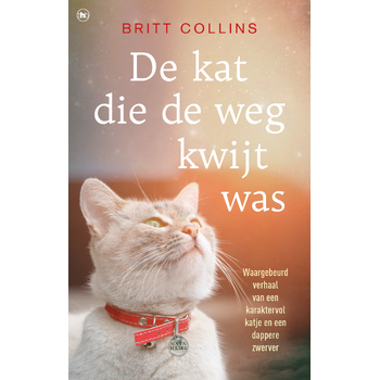 De kat die de weg kwijt was (Paperback) bij Singel 344