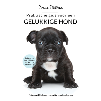 Praktische gids voor een gelukkige hond (Paperback) bij Singel 344