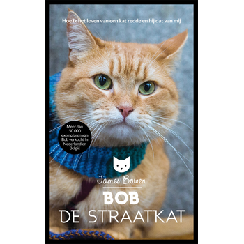 Bob de straatkat (Paperback) bij Singel 344