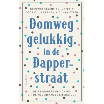 Domweg gelukkig, in de Dapperstraat (Hardback) bij Singel 344