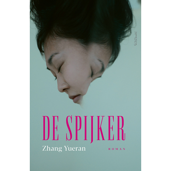 De spijker (Paperback) bij Singel 344