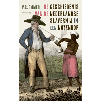 De geschiedenis van de Nederlandse slavernij in een notendop (Paperback) bij Singel 344