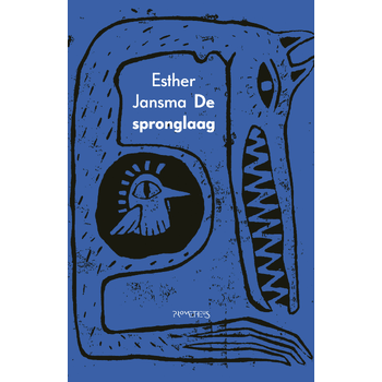 De spronglaag (Paperback) bij Singel 344