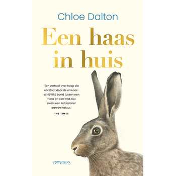 Een haas in huis (Hardback) bij Singel 344