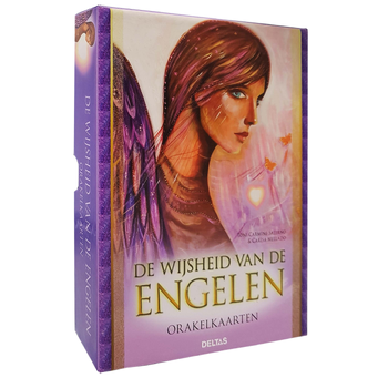 De wijsheid van de engelen (Hardback) bij Singel 344