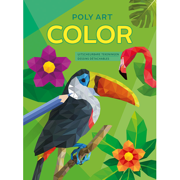 Poly Art Color (Paperback) bij Singel 344